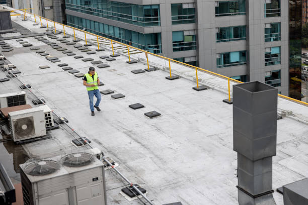 Best Roof Maintenance and Cleaning  in Farngton Hills, MI