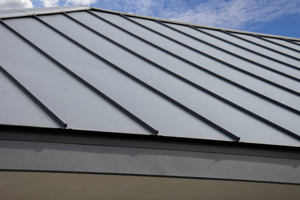 Best Skylight Installation and Repair  in Farngton Hills, MI